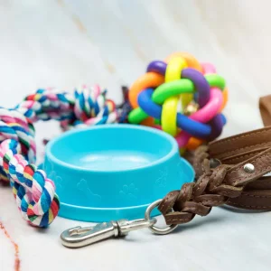 cheap & custom pets accessories online