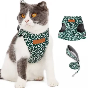 cat leash and harness