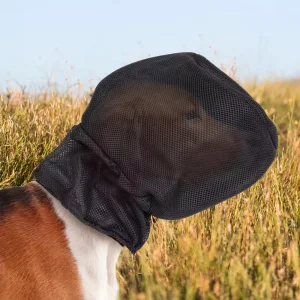 dog dust mask