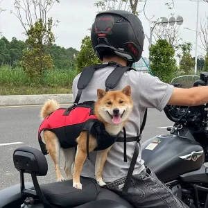 backpack for dog