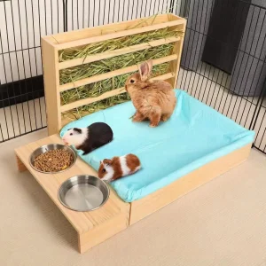 rabbit feeder