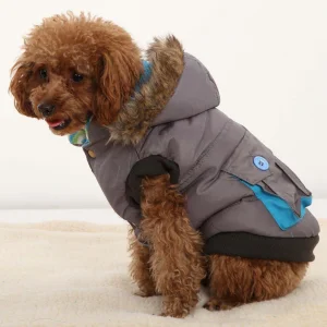 custom pet clothing for dogs, cats & other small animals