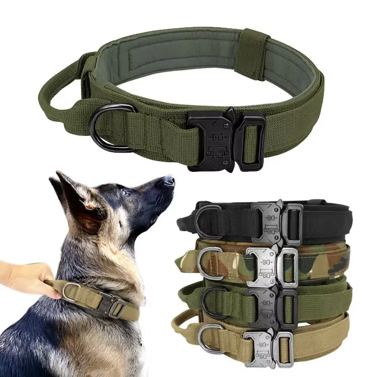 sport dog training collar