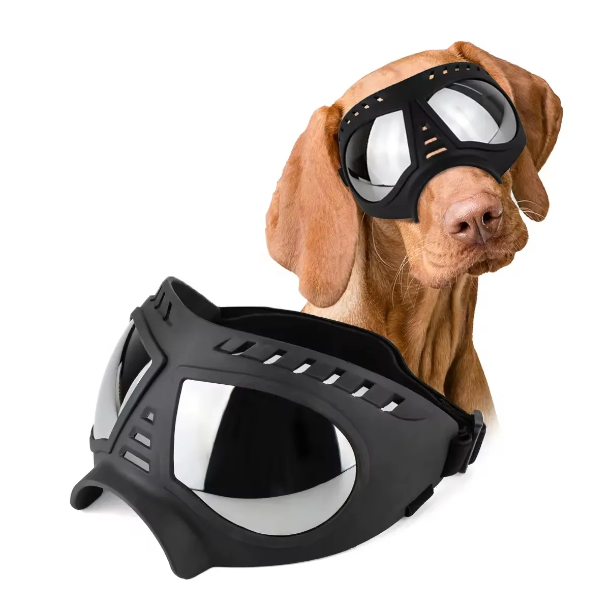 dog goggles