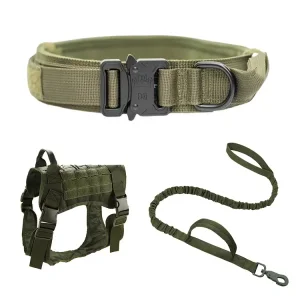 Tactical dog leash and collar