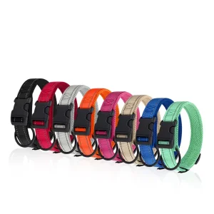 personalized dog collar