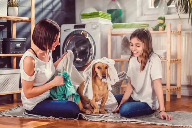how to get pet hair off blankets in washing machine