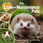 low maintenance pets