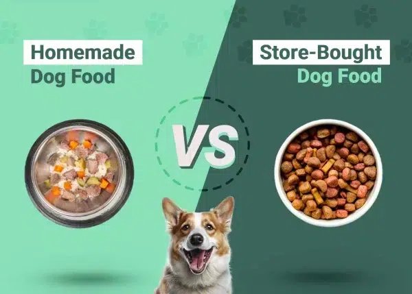 Is it cheaper to buy dog food or make it yourself