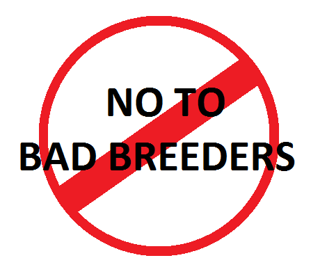 What are the signs of a bad dog breeder